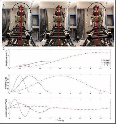 Impact of Canal-Otolith Integration on Postural Control